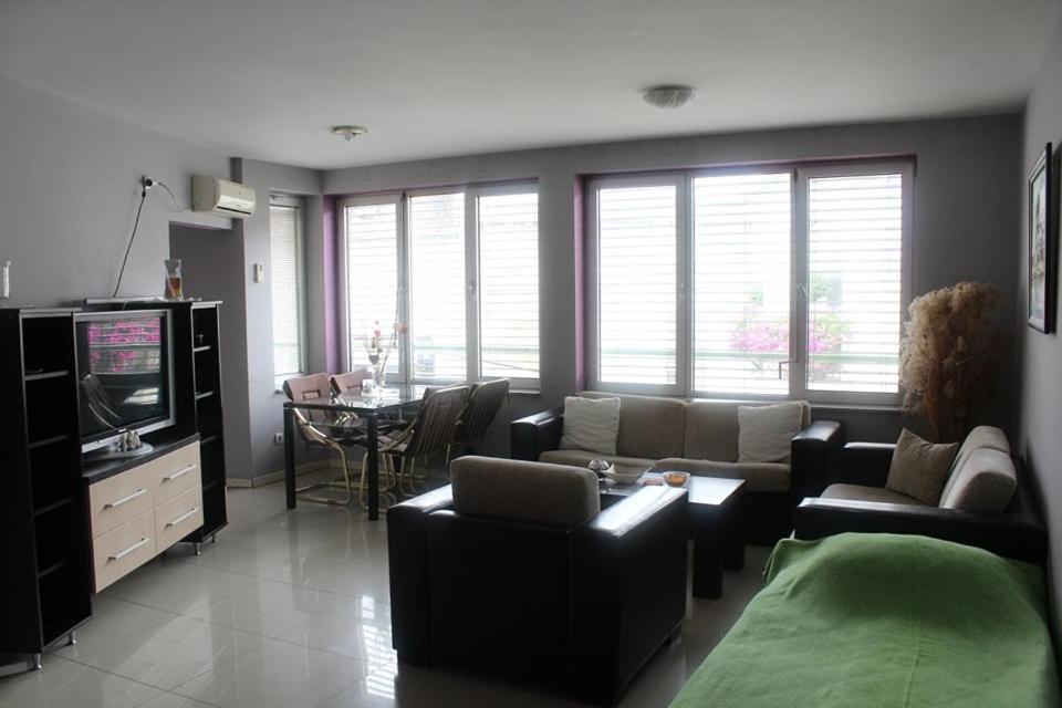 Apartman Natasa 1 Vrsac Exteriér fotografie